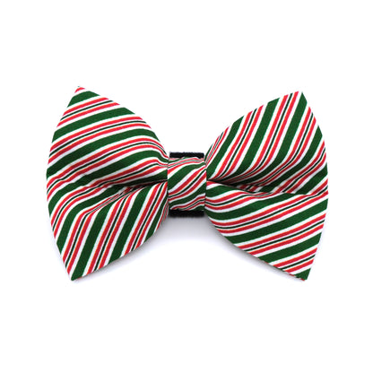 Spearmint Dog Bow Tie
