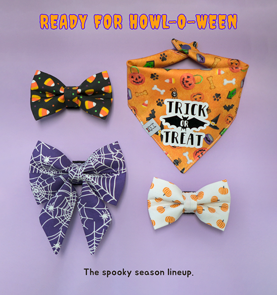 Winthrop Clothing Co Halloween Collection