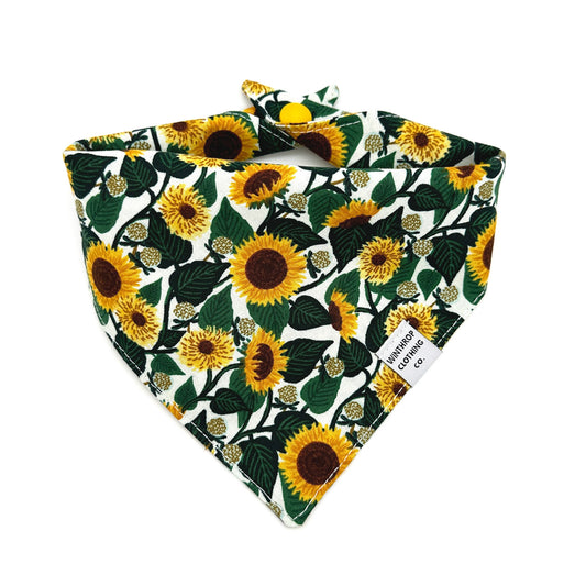 Sunflower Dog Bandana