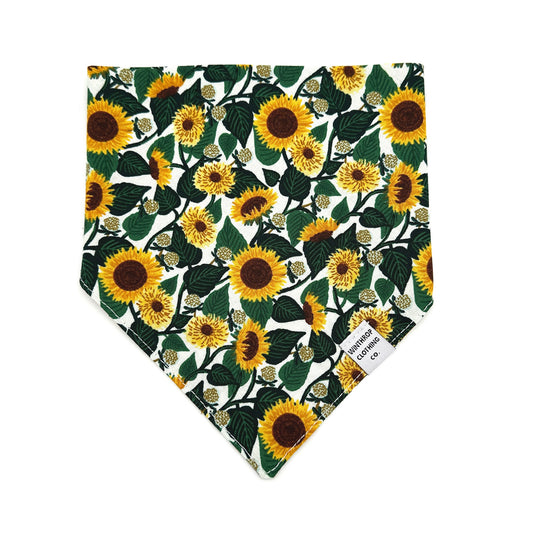 Sunflower Dog Bandana