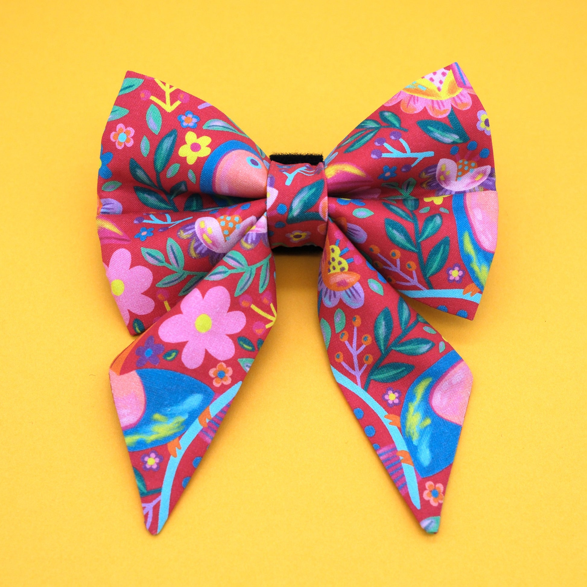 Toucan Sailor Dog Bow