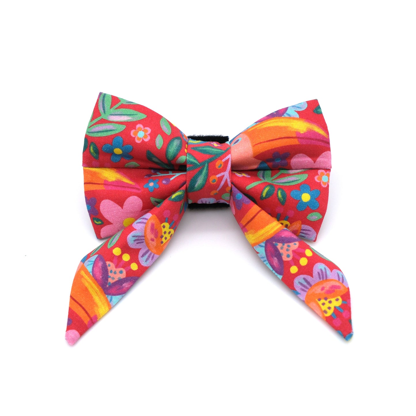 Toucan Sailor Dog Bow