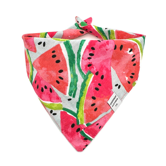 Watermelon Dog Bandana