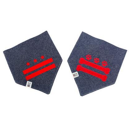 DC dog bandanas