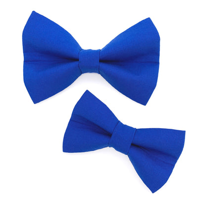 Blue Dog Bow Tie