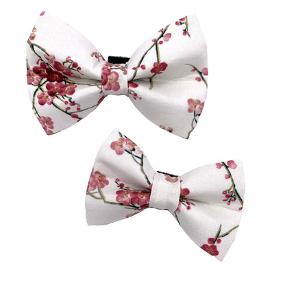 Cherry Blossom Dog Bow Tie