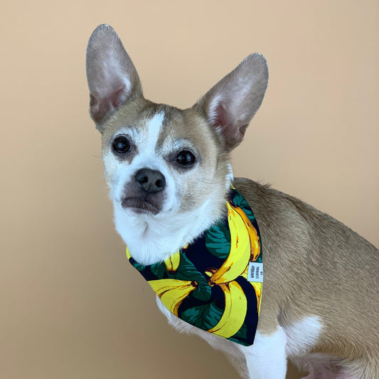 Banana Dog Bandana