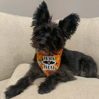 Trick Or Treat Dog Bandana
