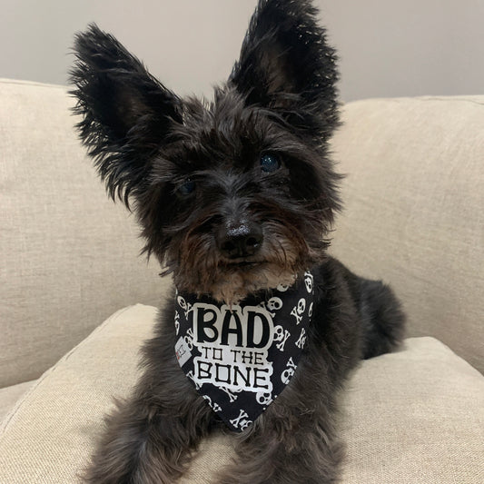 Bad To The Bone Dog Bandana