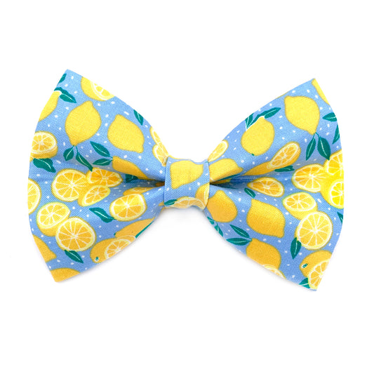 Lemon Dog Bow Tie
