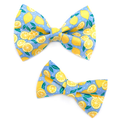 Lemon Dog Bow Tie