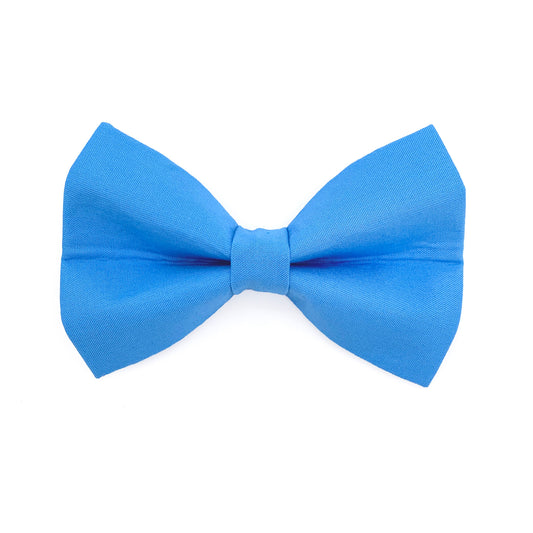 Light Blue Dog Bow Tie