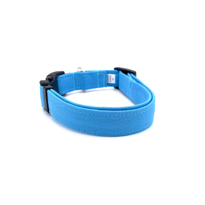 Light Blue Dog Collar