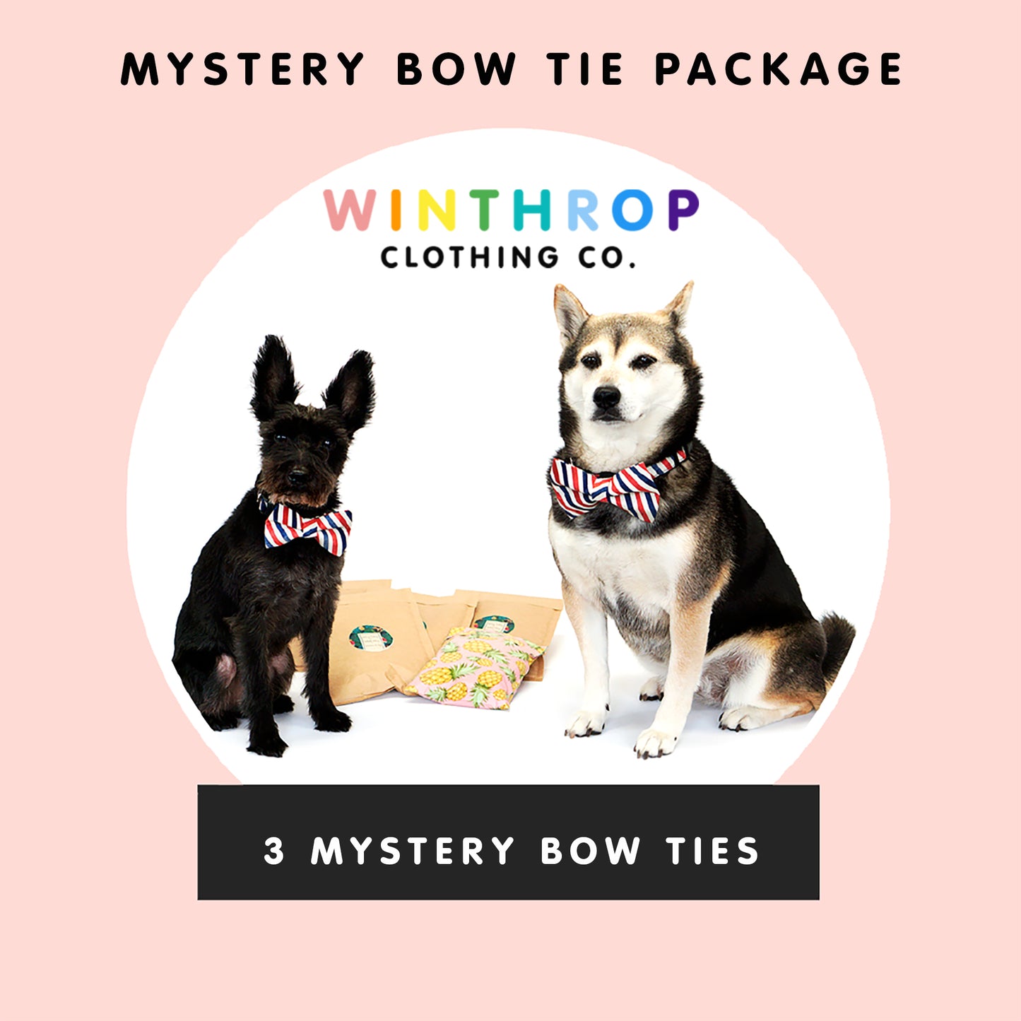 mystery bow tie package