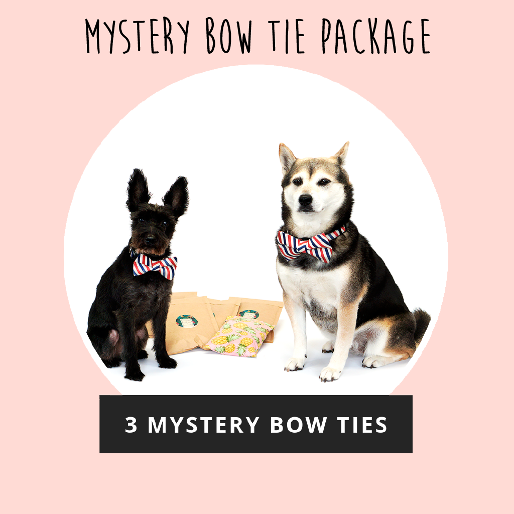 Mystery Bow Tie Package