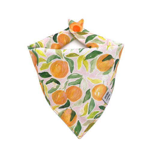 Clementine Orange Dog Bandana