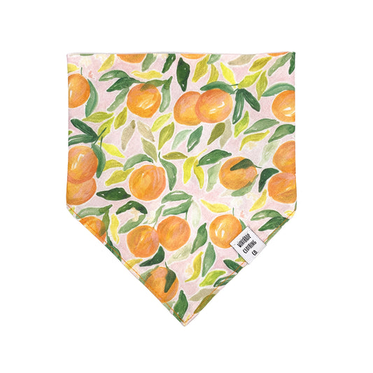 Clementine Orange Dog Bandana