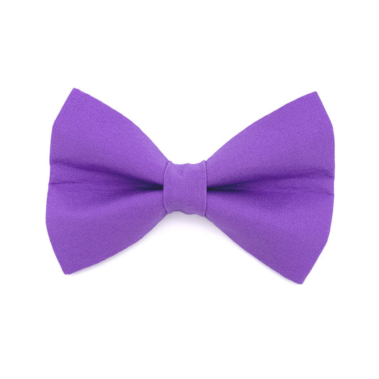Purple Dog Bow Tie