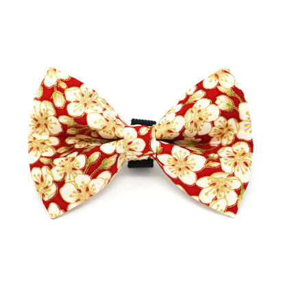 Cherry Blossom (Red) Dog Bow Tie