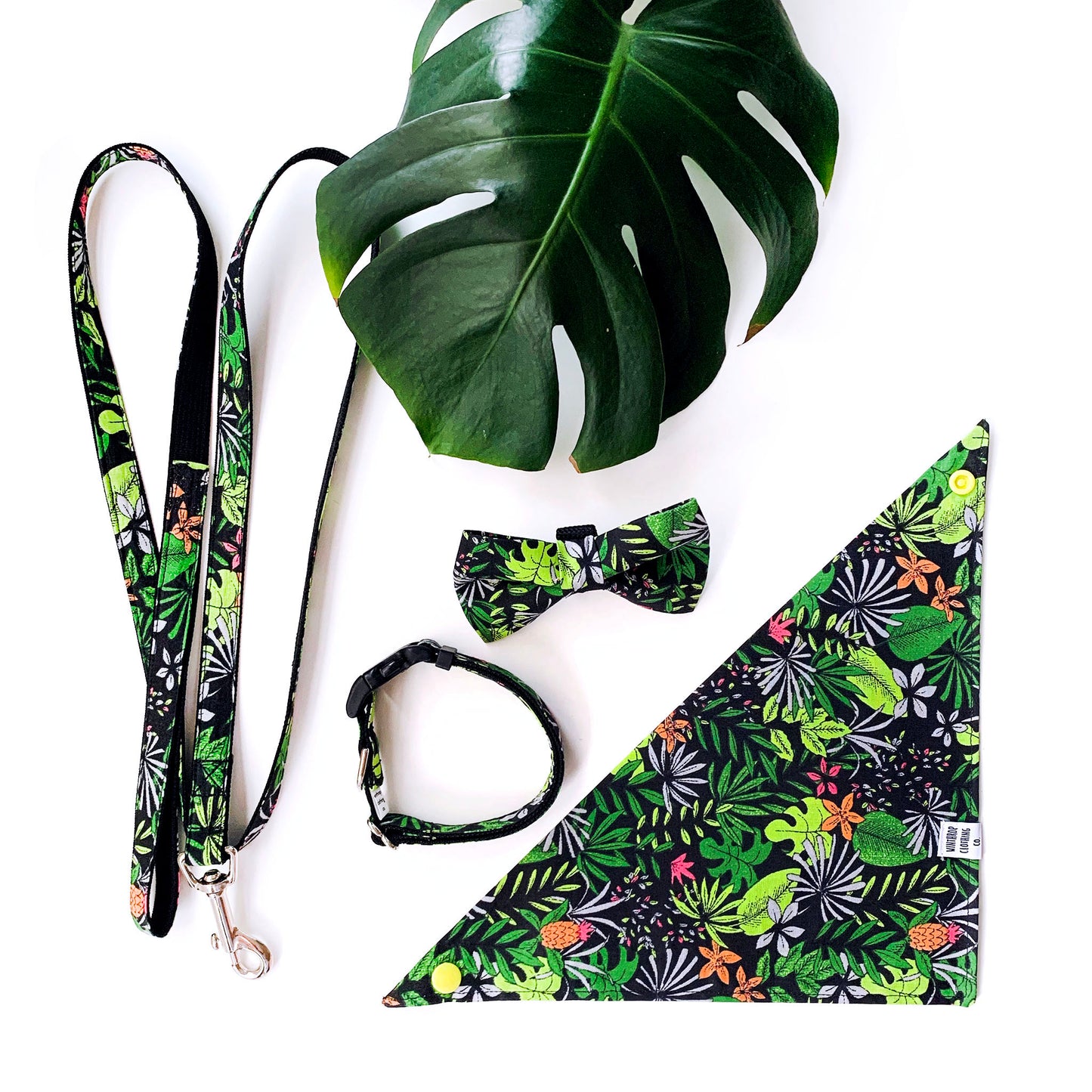 Tropical Leaves Dog Accessories by Nia-col